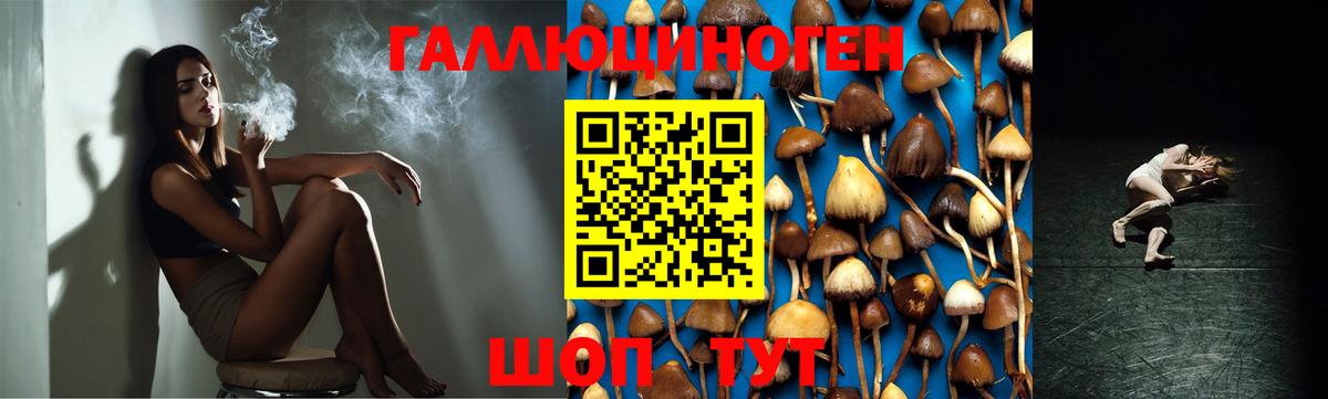 Галлюциногенные грибы Psilocybine cubensis  Вход с VPN  Дятьково 
